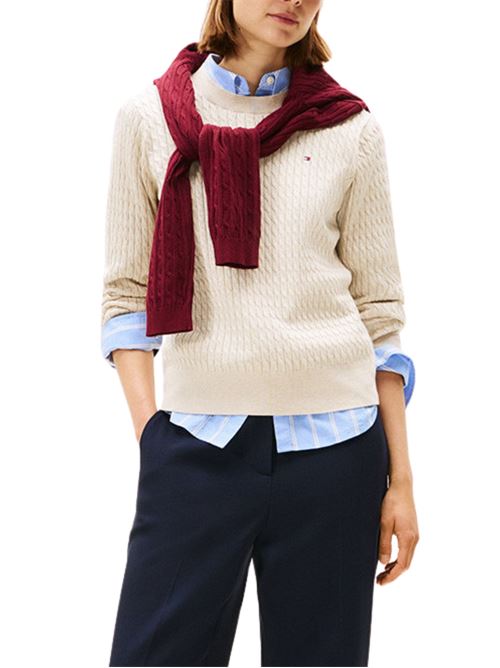  Tommy Hilfiger | WW0WW449930AK